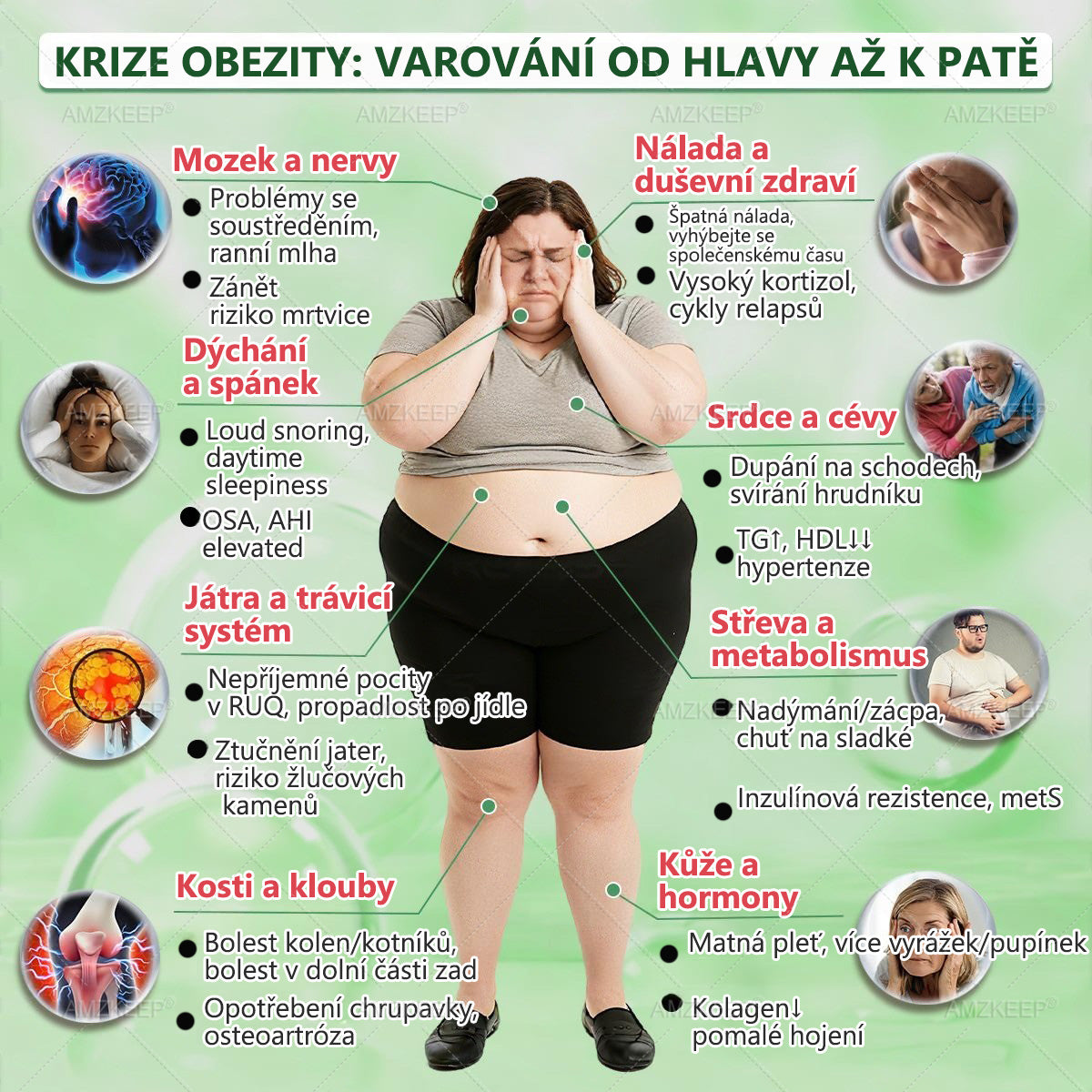 🇨🇿 🔥 50% SLEVA | Lékařsky vyvinutá AMZKEEP® náplast Moringa Berberin × NAD+ 10 v 1 | Pokročilá nano-mikrojehlová technologie | Viditelné výsledky již za 7 dní
