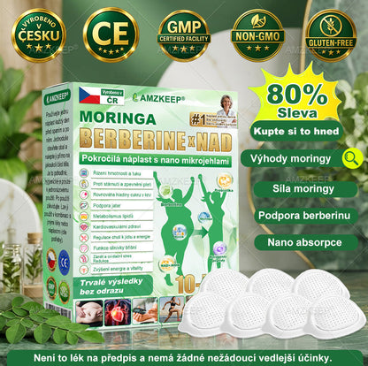 🇨🇿 🔥 50% SLEVA | Lékařsky vyvinutá AMZKEEP® náplast Moringa Berberin × NAD+ 10 v 1 | Pokročilá nano-mikrojehlová technologie | Viditelné výsledky již za 7 dní